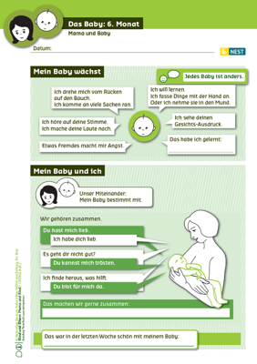 Das Baby: 6. Monat