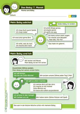 Das Baby: 7. Monat