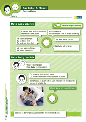 Das Baby: 5. Monat