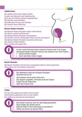 Arbeitsblatt Nach der Geburt - Erholung für die Mutter - Folgeseite