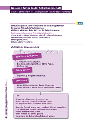 Arbeitsblatt Gesunde Zähne in der Schwangerschaft