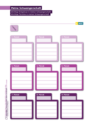 Arbeitsblatt Meine Schwangerschaft