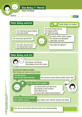 Das Baby: 7. Monat