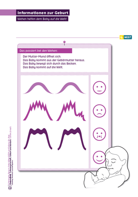 Informationen zur Geburt Arbeitsblatt Informationen zur Geburt