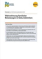 Titelbild - Faktenblatt: Wahrnehmung familialer Belastungen in Geburtskliniken