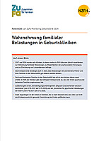 Titelbild - Faktenblatt: Wahrnehmung familialer Belastungen in Geburtskliniken