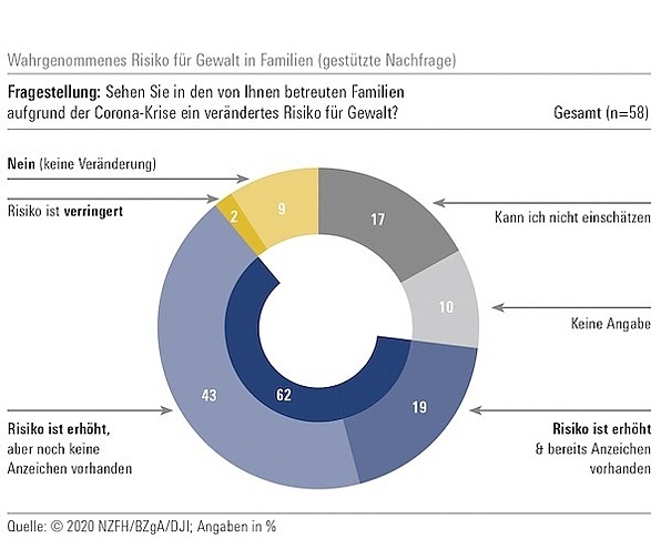 Abbildung zeigt Keisdiagramm aus der NZFH-Befragung 