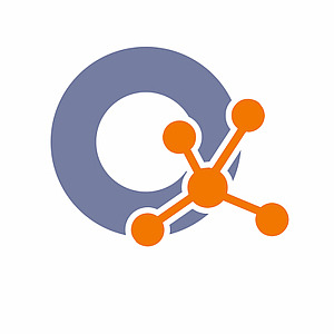 QDFH Icon Qualitätsdimension Netzwerk Icon zeigt Kreis mit einem Symbol für Netzwerk