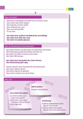 Arbeitsblatt Wichtig für die Gesundheit: zum Zahn-Arzt gehen -F olgeseite