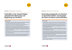 Cover der Faktenblätter zur FiFh-Studie