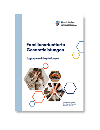 Cover Publikation Familienorientierte Gesamtleistungen