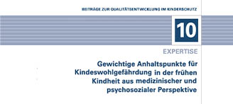 Cover der Expertise