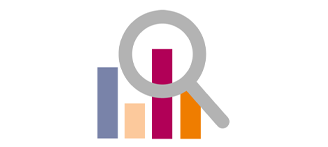 Icon Monitoring Lupe vor Diagramm