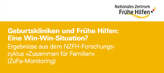 Ausschnitt Coverbild Publikation