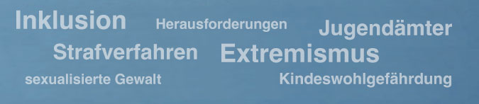 Wortwolke mit Begriffen zum Fachgespraech