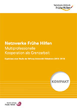 Netzwerke Frühe Hilfen. Multiprofessionelle Kooperation als Grenzarbeit